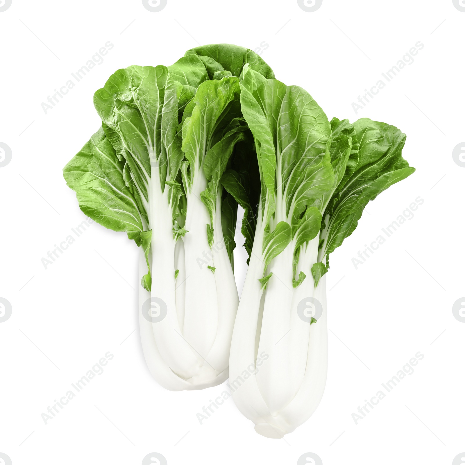 Photo of Fresh green pak choy cabbages on white background, top view