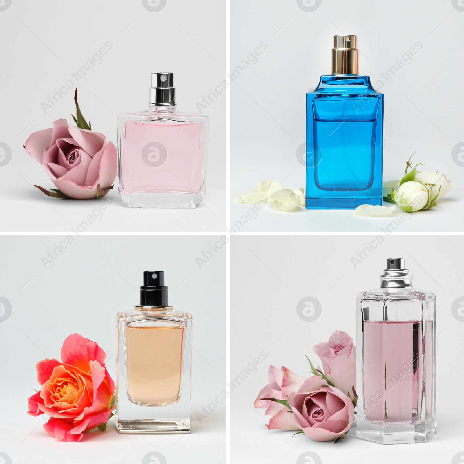 Image of Set with different bottles of perfume and flowers on white background