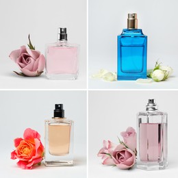 Image of Set with different bottles of perfume and flowers on white background