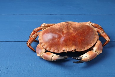 Photo of Delicious boiled crab on blue wooden table
