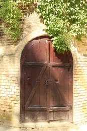 Wooden door in brick wall covered with vine plant