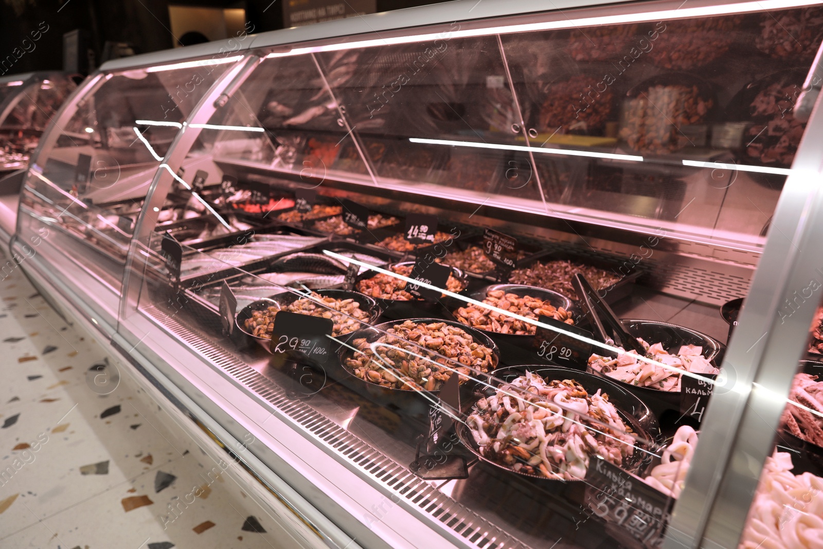 Photo of Different fresh seafood on display. Wholesale market