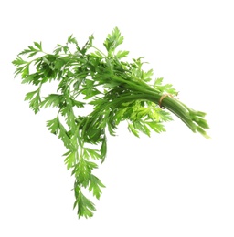 Photo of Bunch of fresh green parsley on white background