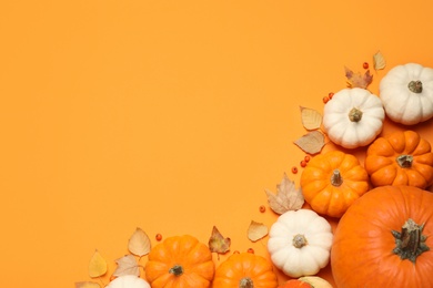 Photo of Different ripe pumpkins, autumn leaves and berries on orange background, flat lay. Space for text