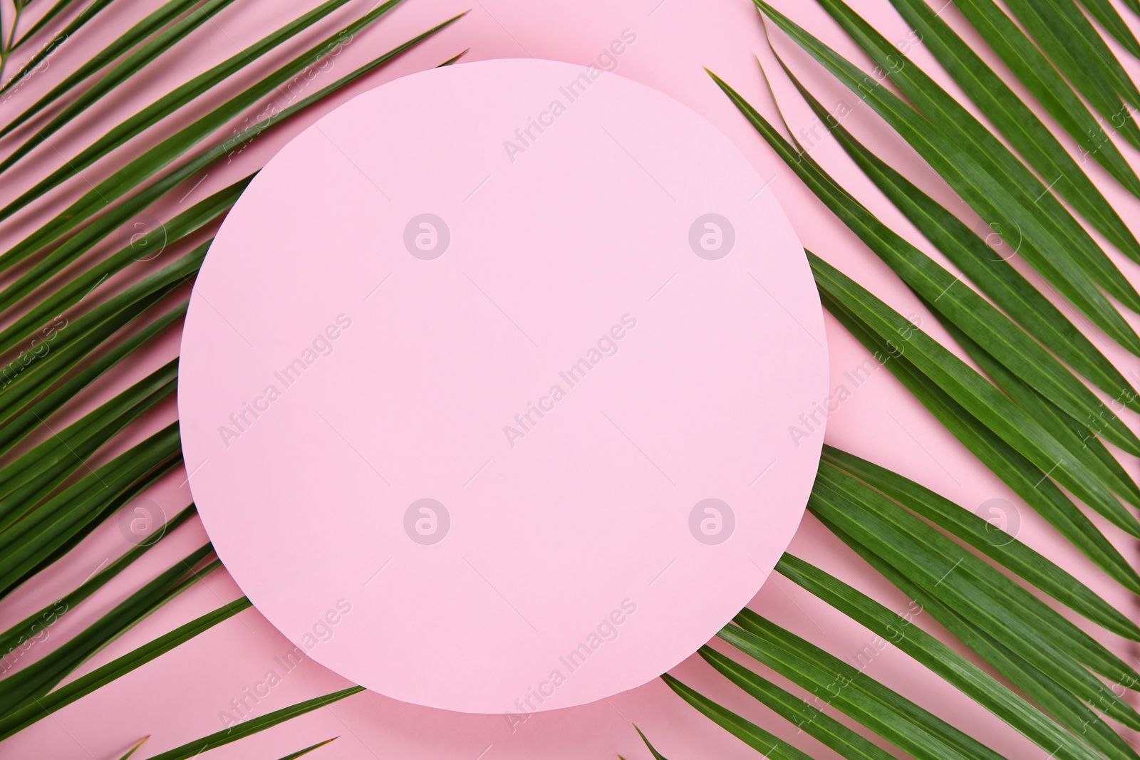 Photo of Flat lay composition with tropical leaves on color background