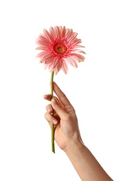 Photo of Woman holding flower on white background, closeup