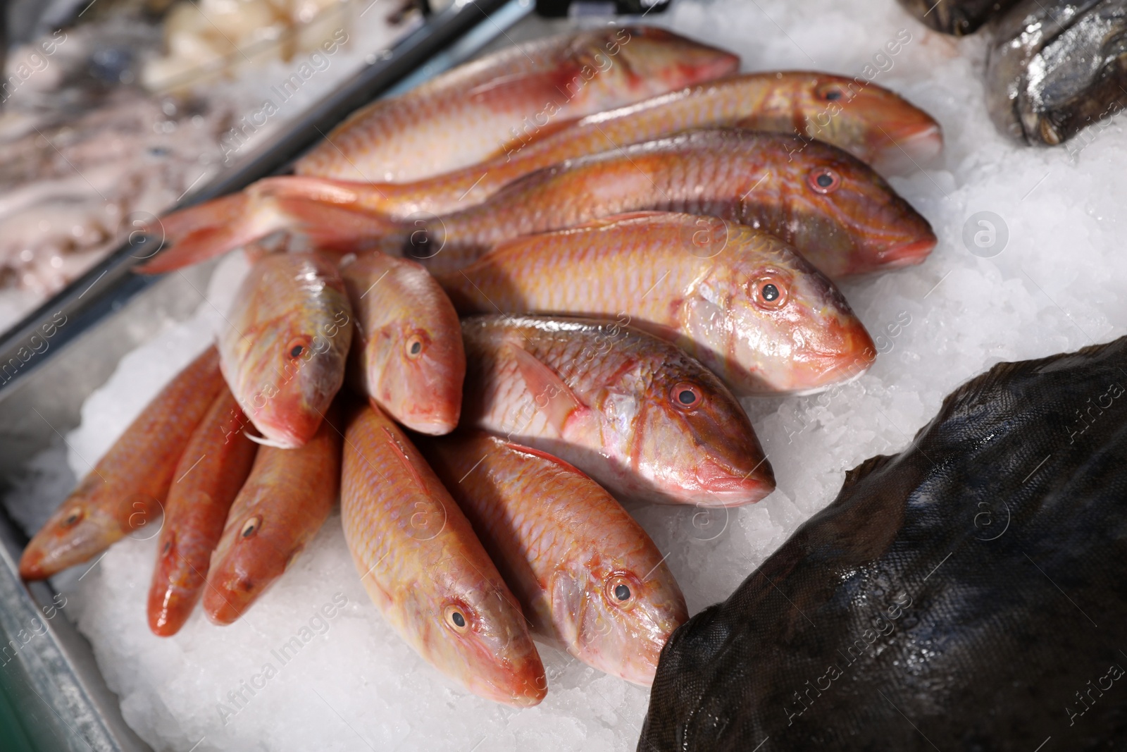 Photo of Fresh raw fish on ice in supermarket