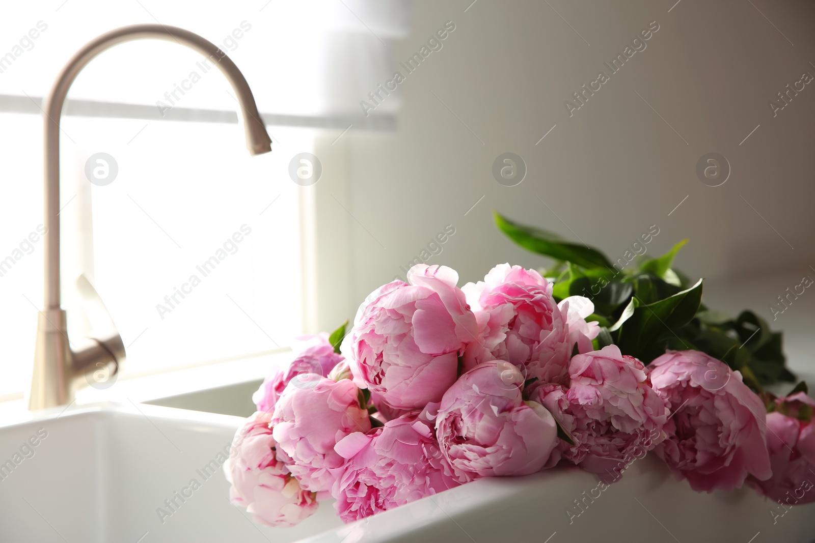 Photo of Bouquet of beautiful pink peonies in kitchen sink