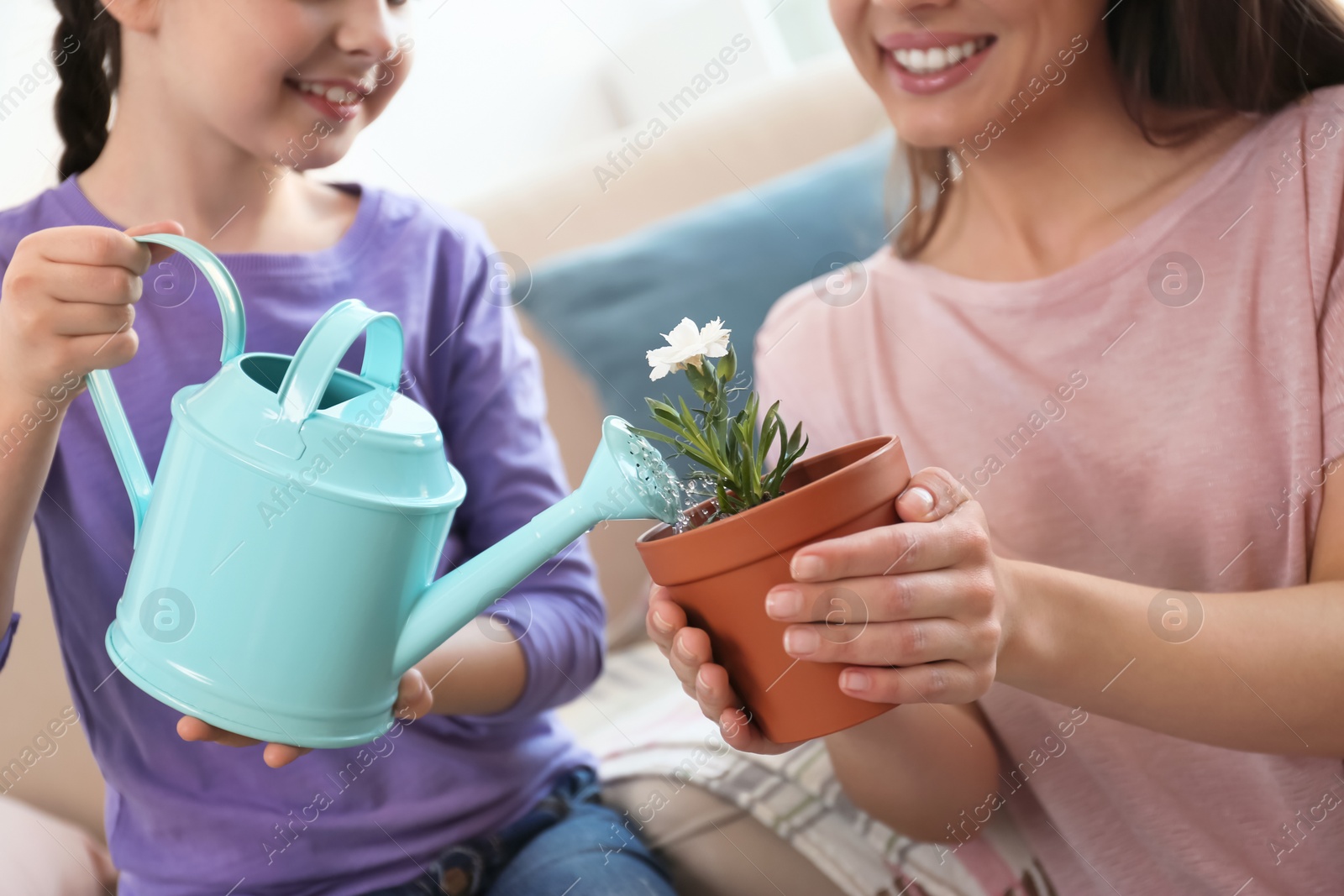 Photo of Mother and daughter watering potted plants at home, closeup