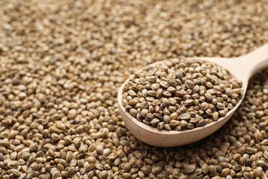 Photo of Organic hemp seeds and spoon, closeup. Space for text