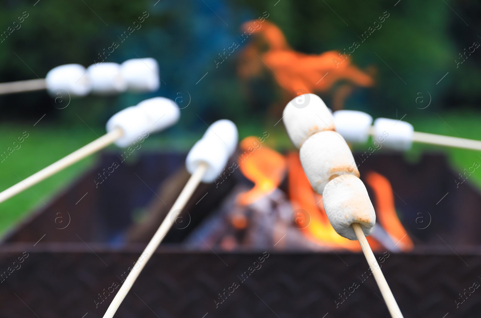 Photo of Delicious puffy marshmallows roasting over bonfire, closeup