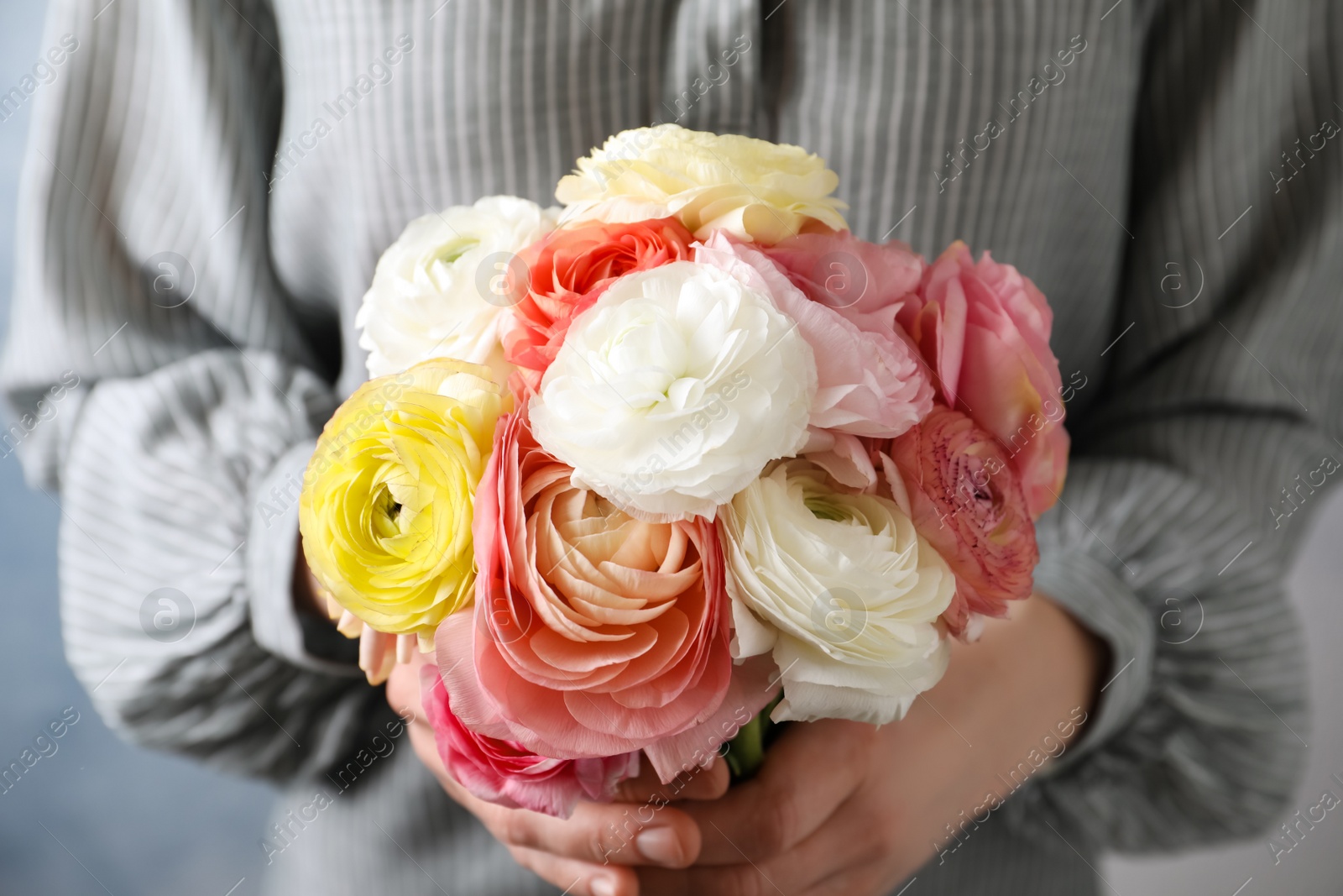 Photo of Woman holding bouquet of beautiful ranunculus flowers, closeup