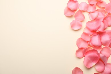 Photo of Beautiful pink rose flower petals on beige background, flat lay. Space for text