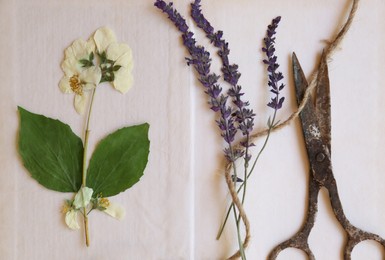 Photo of Open book with beautiful dried flowers, twine and old scissors, flat lay