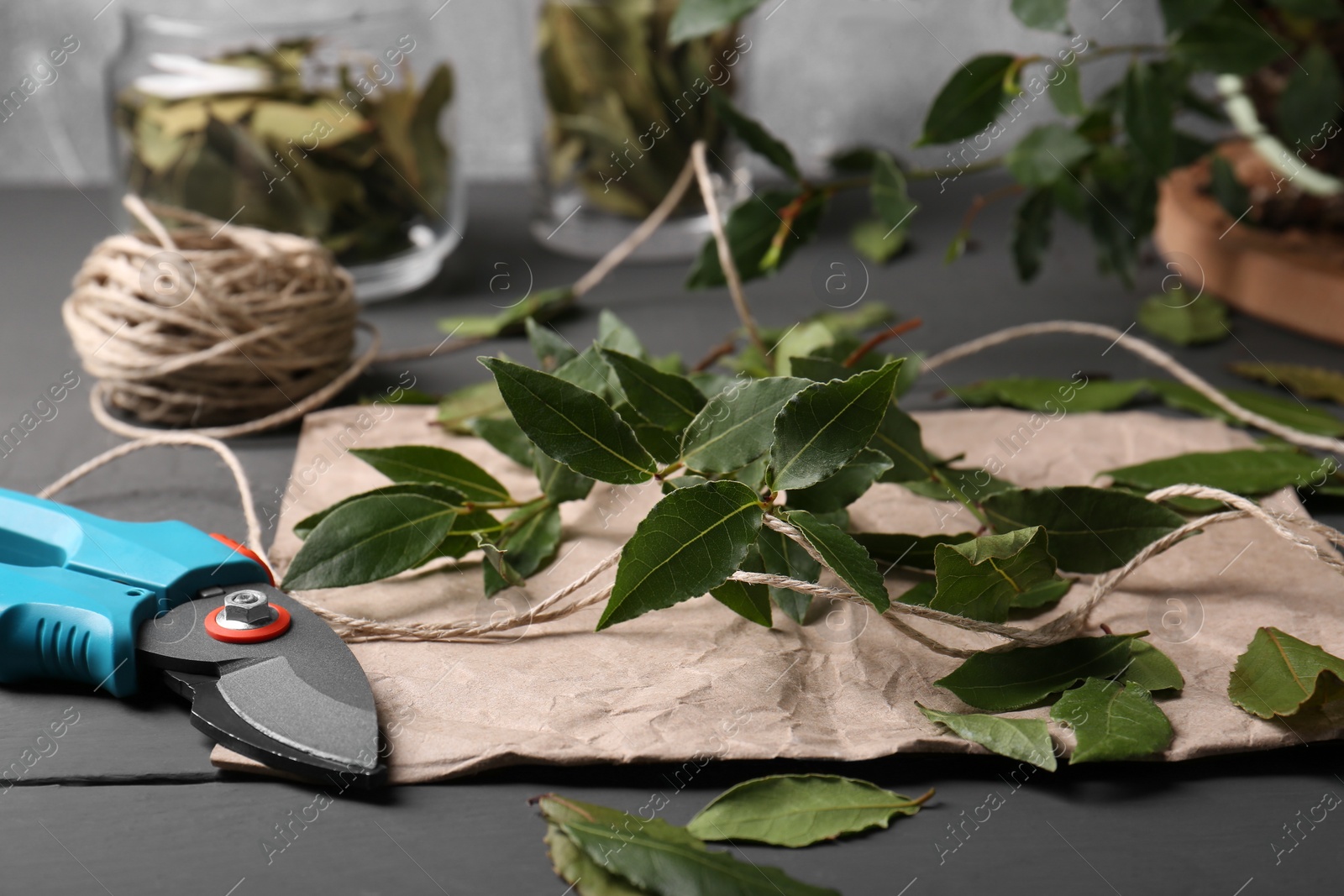 Photo of Fresh green bay leaves, secateurs and twine on grey wooden table, closeup