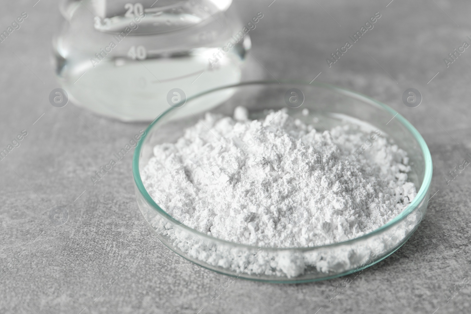 Photo of Petri dish with calcium carbonate powder on light grey table, closeup