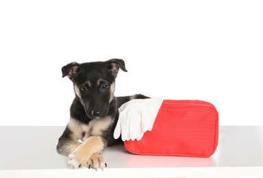 Cute puppy with first aid kit on white background