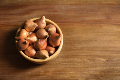 Tulip bulbs in bowl on wooden table, above view. Space for text