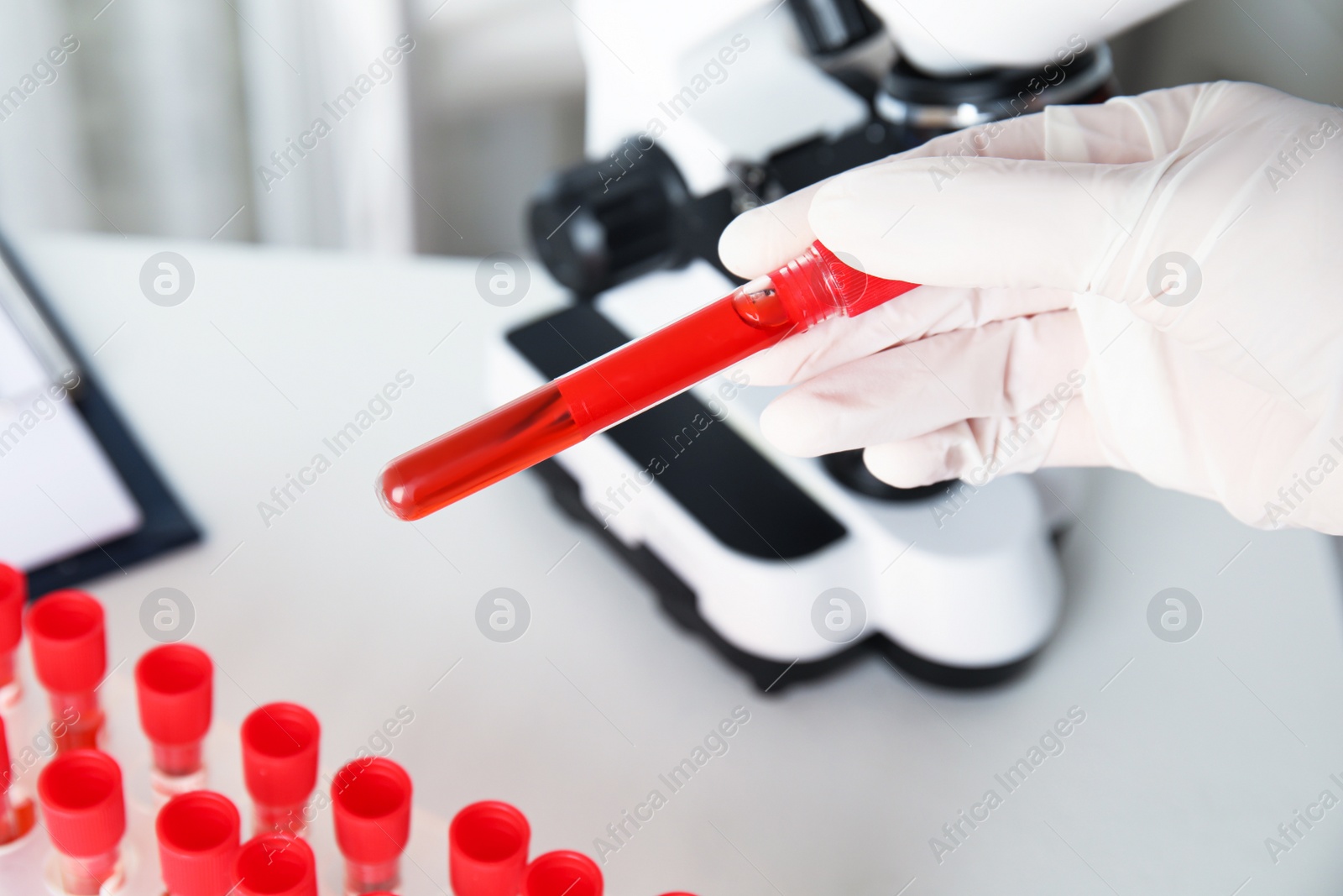 Photo of Scientist holding test tube with blood sample in laboratory, closeup. Virus research