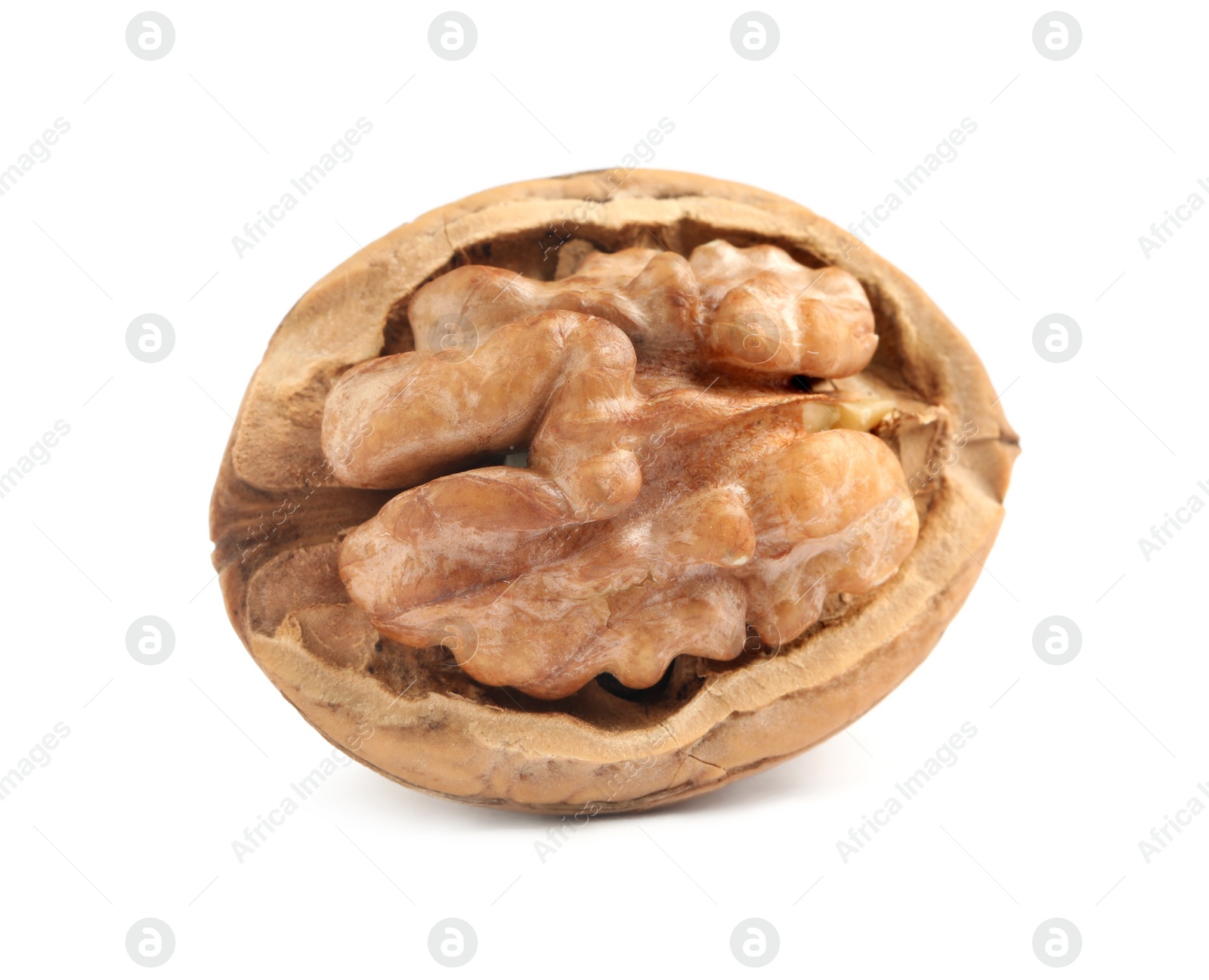 Photo of Tasty walnut in shell isolated on white