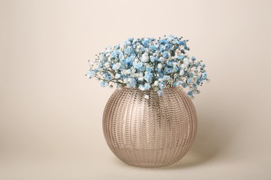 Beautiful gypsophila flowers in vase on beige background