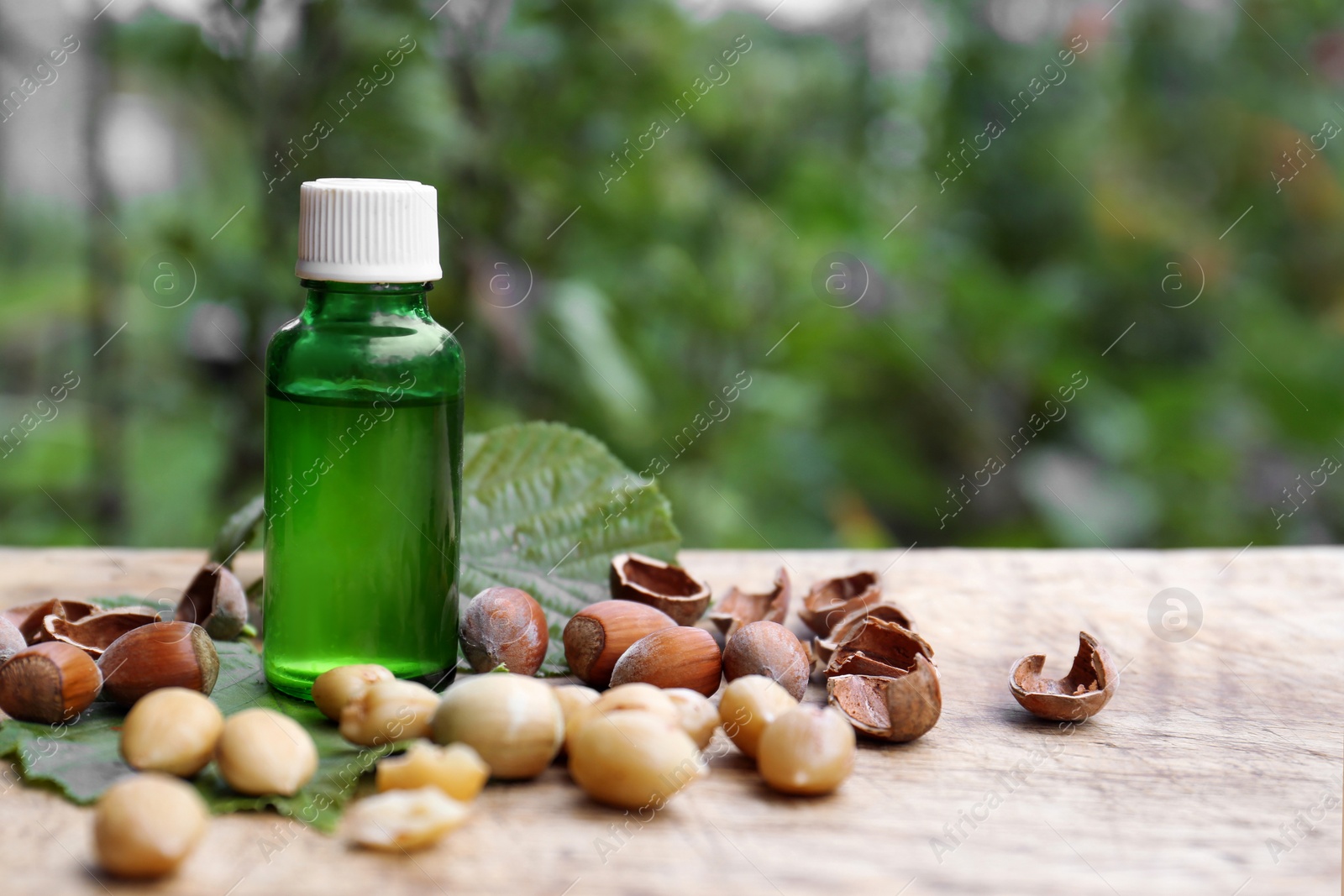 Photo of Bottle of hazelnut essential oil and nuts on wooden table. Space for text