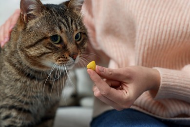 Woman giving heart shaped pill to cute cat indoors, closeup. Vitamins for animal