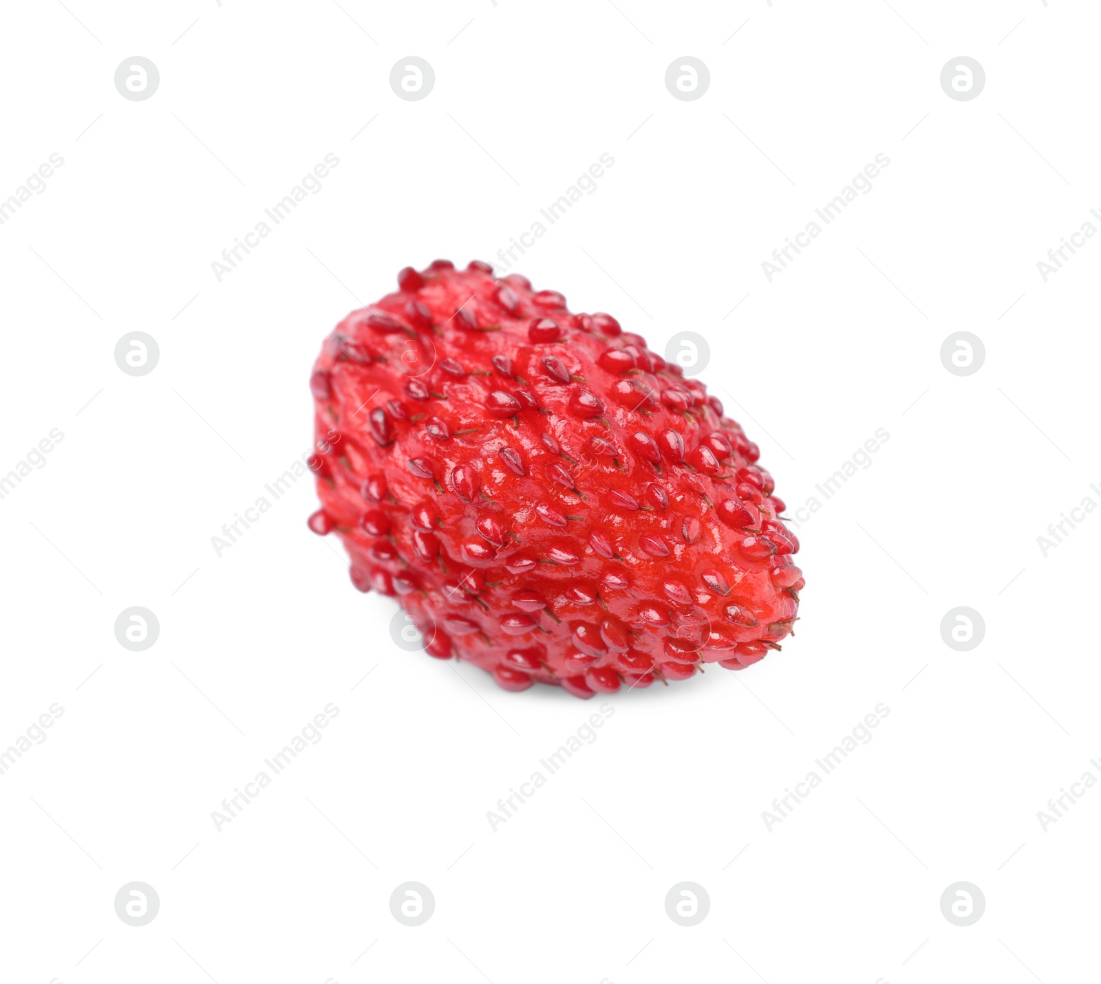 Photo of One ripe wild strawberry isolated on white