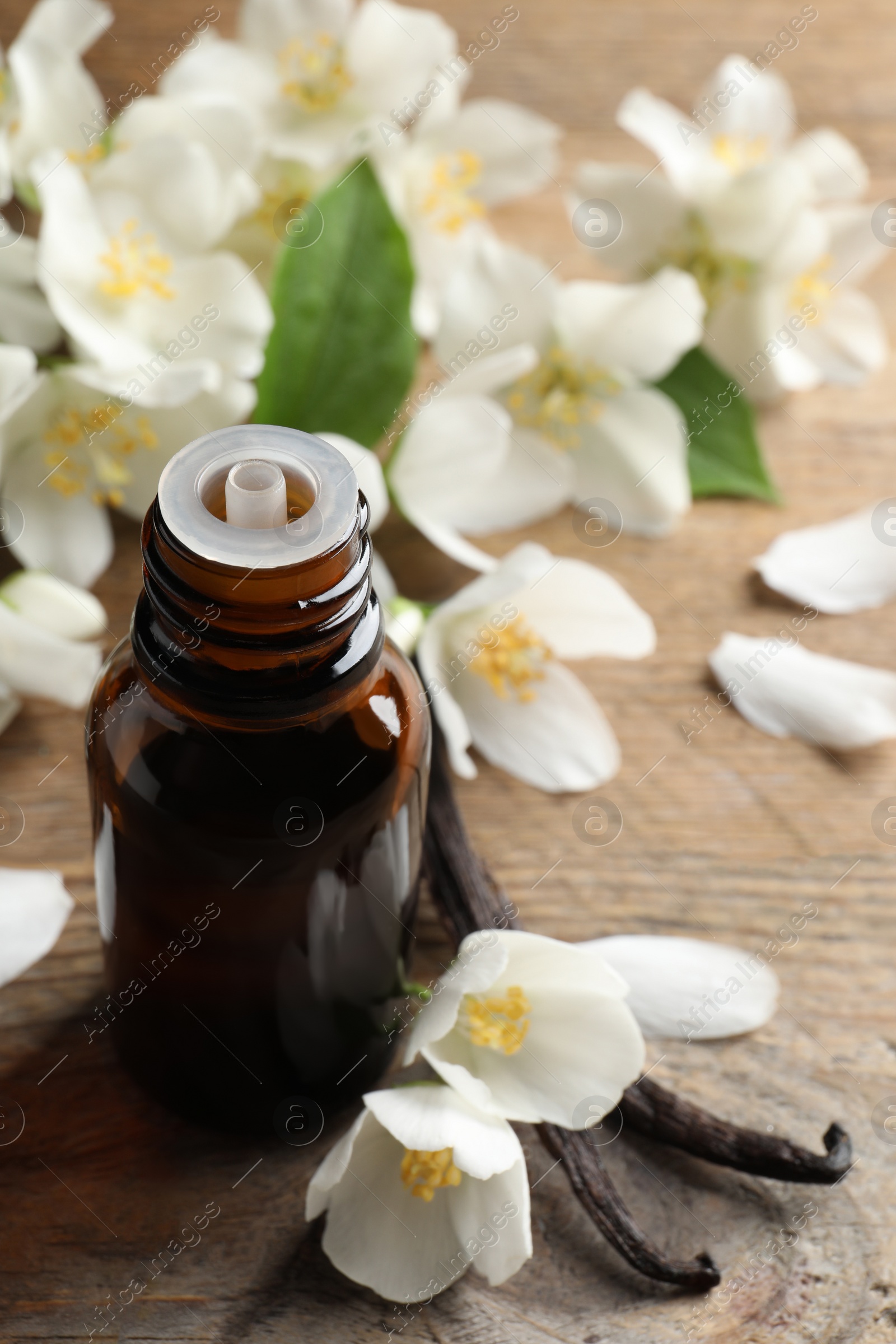 Photo of Jasmine essential oil and fresh flowers on wooden table