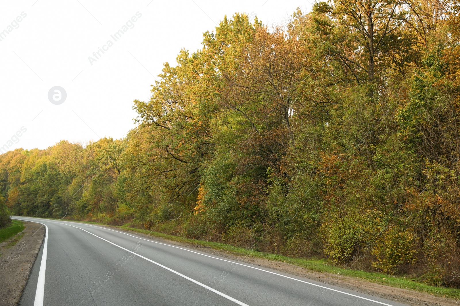 Photo of Beautiful view of empty asphalt highway and autumn trees