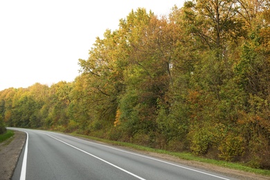 Beautiful view of empty asphalt highway and autumn trees