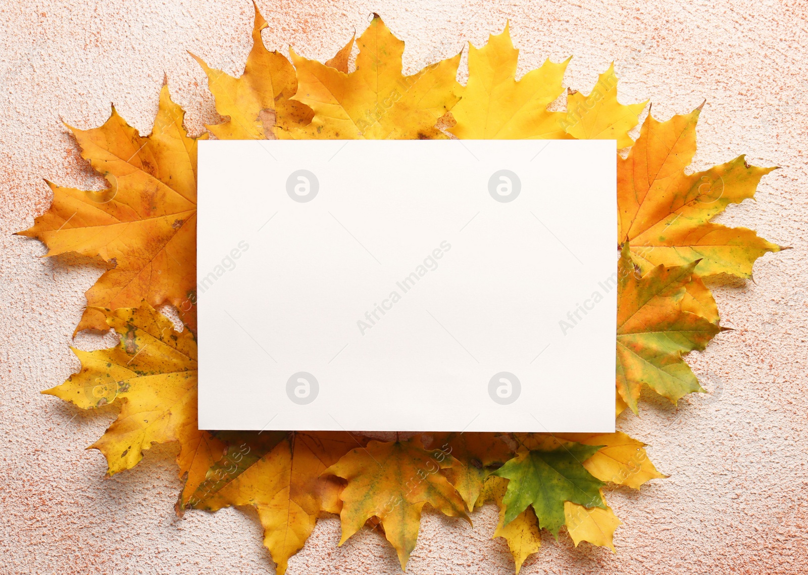 Photo of Autumn leaves and blank card on color background, flat lay. Space for text