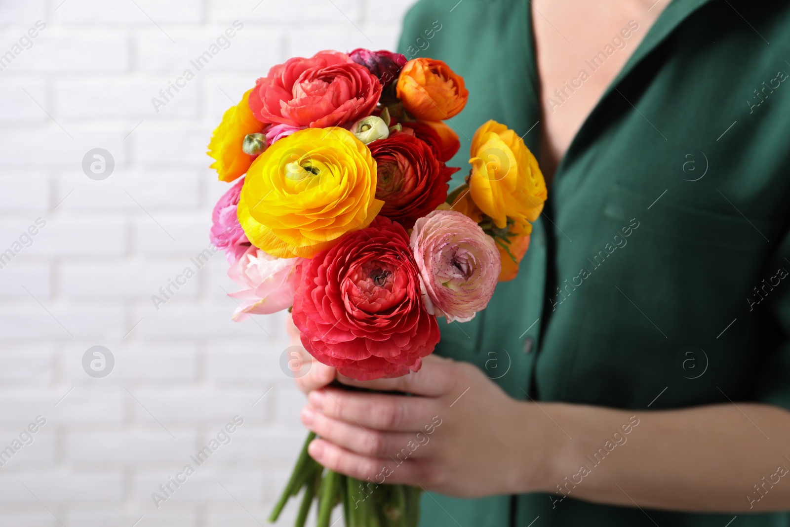 Photo of Woman holding beautiful ranunculus flowers near white brick wall, closeup