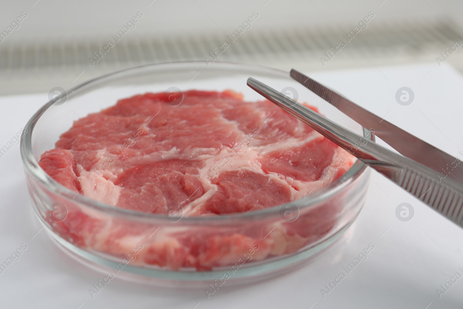 Photo of Petri dish with piece of raw cultured meat and tweezers on white table indoors, closeup