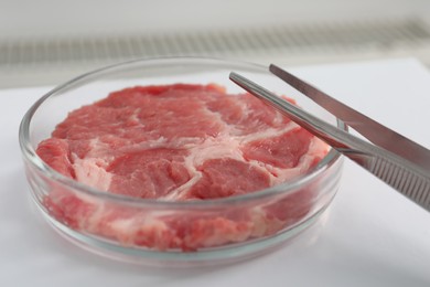 Photo of Petri dish with piece of raw cultured meat and tweezers on white table indoors, closeup