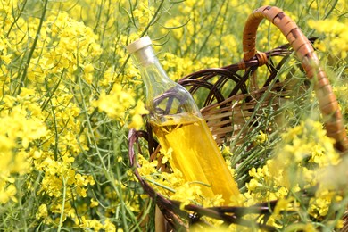 Wicker basket with rapeseed oil among flowers outdoors, closeup