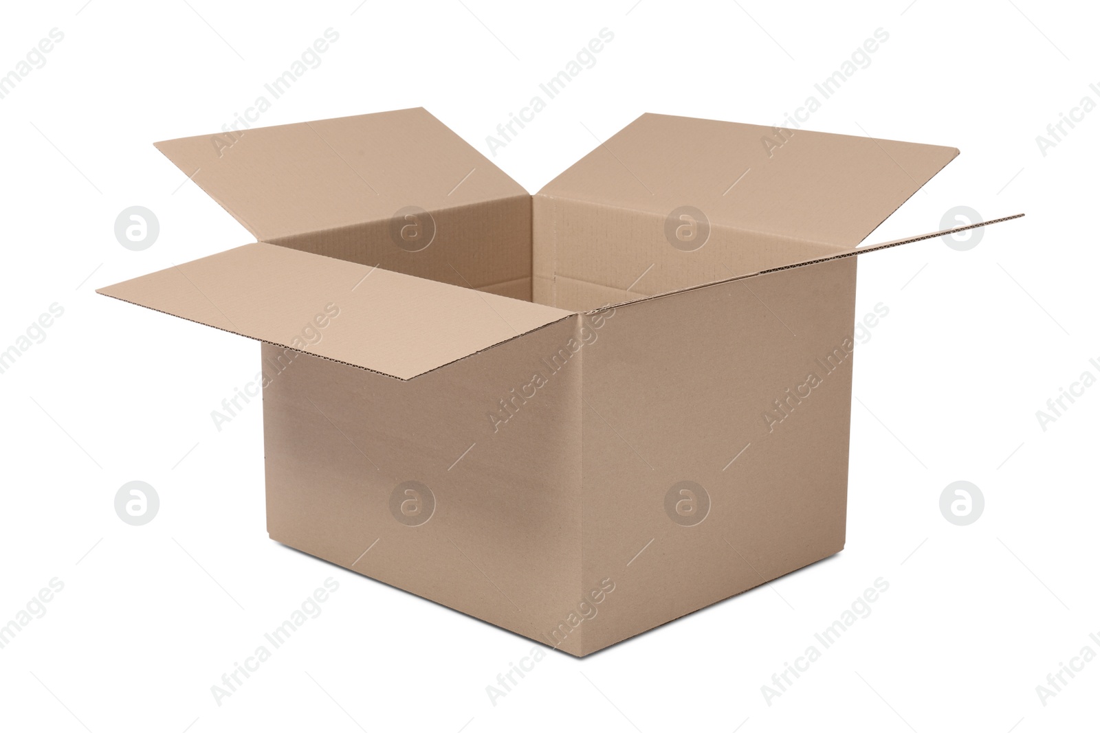 Photo of One open cardboard box isolated on white