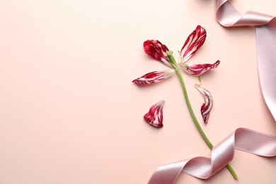 Photo of Red tulip and pink ribbon on beige background, flat lay with space for text. Menopause concept