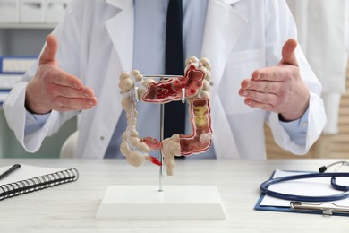 Photo of Doctor showing model of large intestine at white wooden table in clinic, closeup