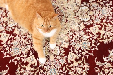 Photo of Cute ginger cat lying on carpet with pattern, above view. Space for text