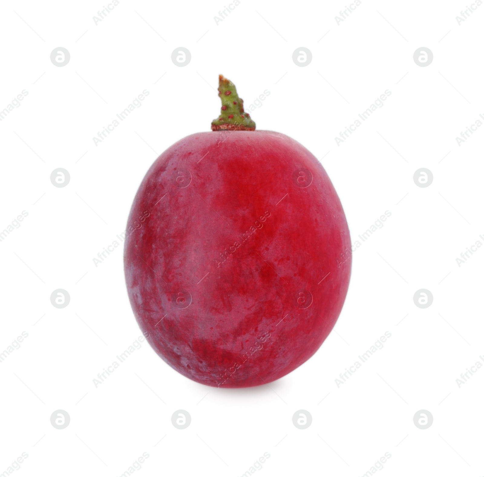 Photo of One ripe red grape isolated on white