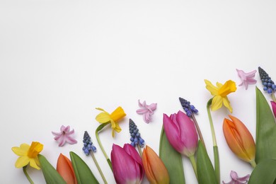 Beautiful flowers on white background, flat lay. Space for text