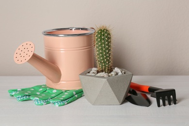 Photo of Beautiful tropical cactus plant and gardening tools on white wooden table. House decor