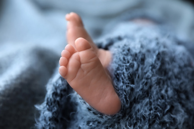 Photo of Newborn baby lying on blanket, closeup of legs