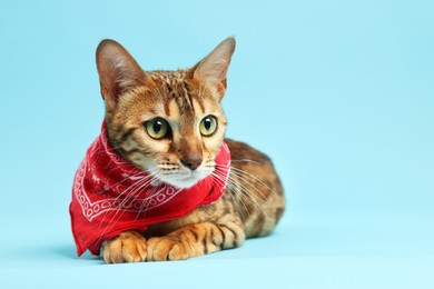 Photo of Cute Bengal cat with red bandana on light blue background, space for text