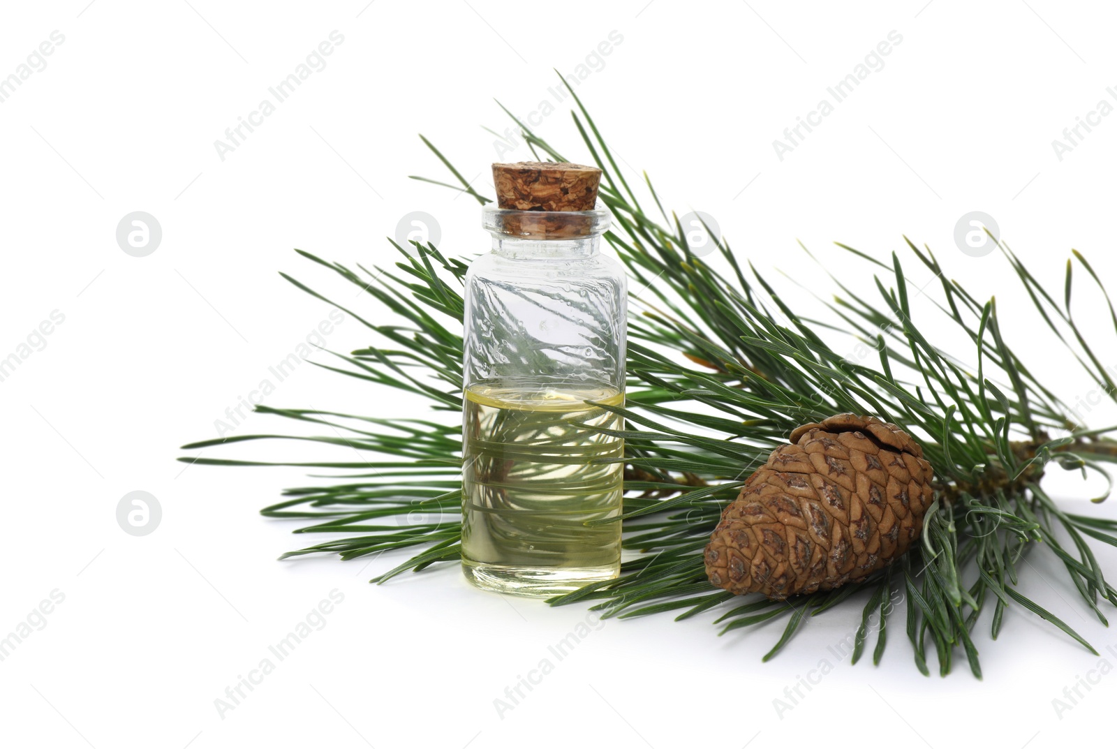 Photo of Glass bottle of essential oil and pine branch with cone on white background