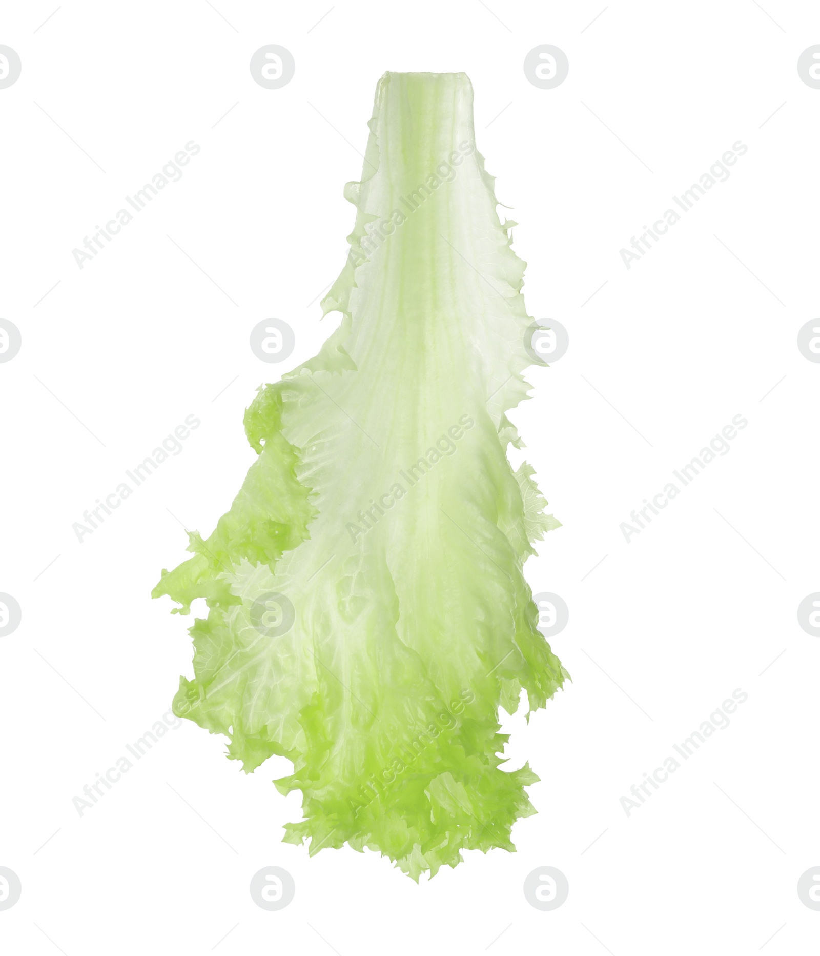 Photo of Fresh green lettuce leaf isolated on white