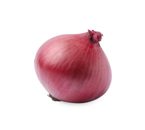 One fresh red onion on white background