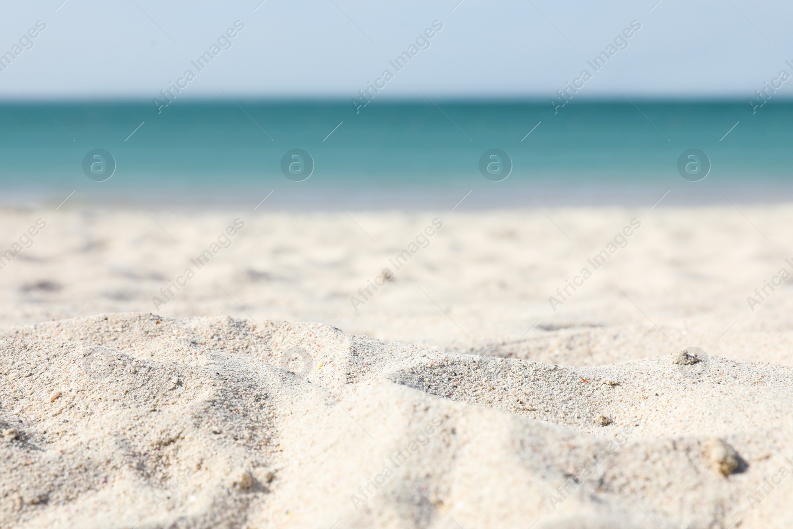Photo of Beach with clean hot sand on sunny day, closeup. Space for text
