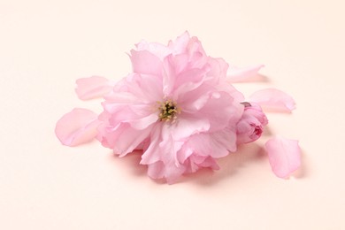 Photo of Beautiful sakura tree blossoms on pale pink background, closeup